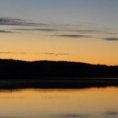Tatil Evi Holiday Keto-orvokki *